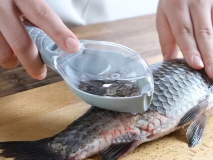 Fish Scale Remover with Cover – Stainless Steel Scraper & Cleaning Tool for Kitchen and Fishing
