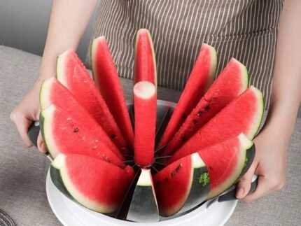 Stainless Steel Watermelon Windmill Cutter – Fruit Slicer & Corer Tool for Quick and Easy Watermelon Cubes